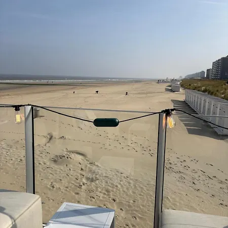 Διαμέρισμα Seagull, Ruim En Volledig Vernieuwd Met Zeezicht In Westende